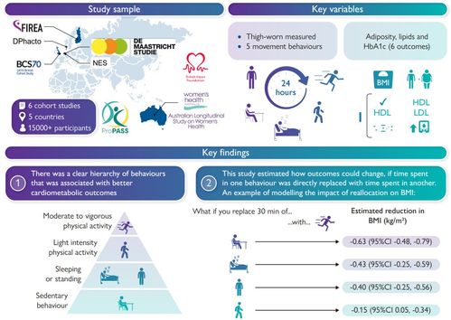 研究發現 運動護心，哪種最給力？數字技術帶你一探究竟