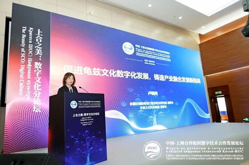 上合之美，數字賦能 推動龜茲文化數字化發展，打造產業融合新格局